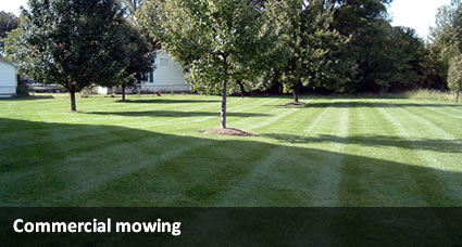 indianapolis lawn mowing service grahic